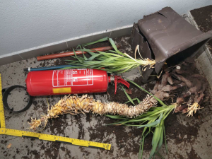 Procházel Jeseníkem a ničil vše, na co narazil. Auta, popelnice, dveře, polámal i květiny