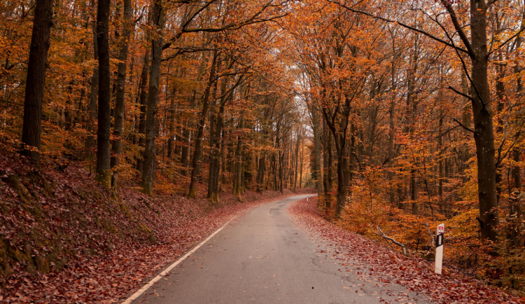 Podzim udeří v plné síle. Tento týden budeme potřebovat deštníky i teplé oblečení