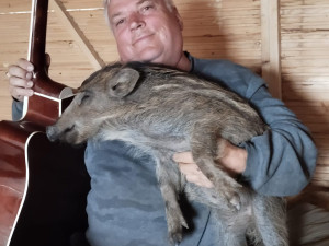 VIDEO: Bachyňka Andulka hvězdou na sítích. V záchranné stanici Pateřín si rozumí se psy i dětmi