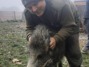 VIDEO: Bachyňka Andulka hvězdou na sítích. V záchranné stanici Pateřín si rozumí se psy i dětmi