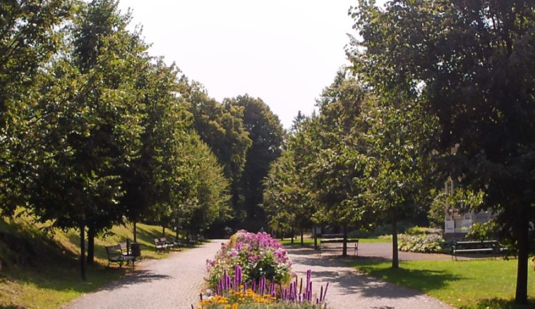 Lipová alej lemující Ripperovu promenádu