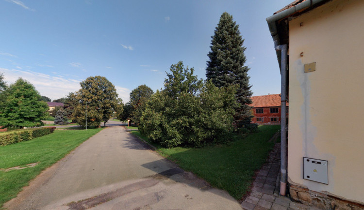 Vánoční strom na olomoucké Horní náměstí poputuje z návsi obce Líšná na Přerovsku