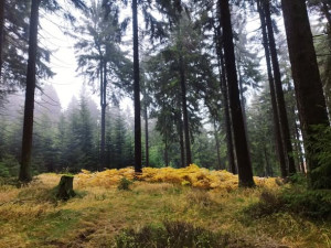 TIP NA VÝLET: Suchý Vrch