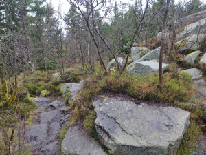 TIP NA VÝLET: Suchý Vrch