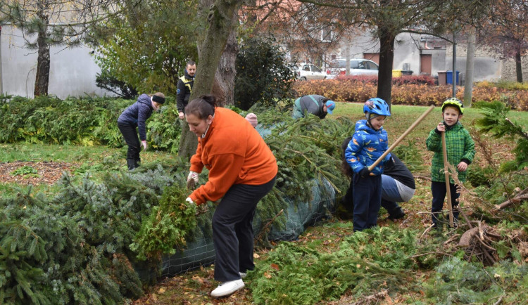 Obyvatelé Víceměřic vytvořili obří adventní věnec, dílo bude zapsáno do knihy rekordů