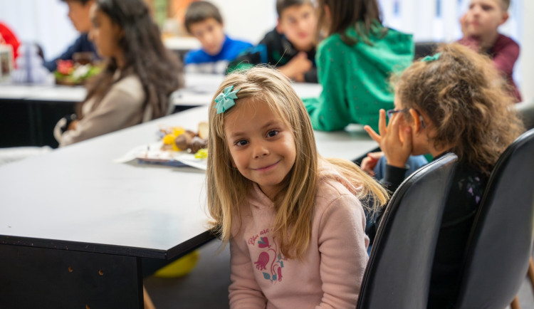 V hradeckém kraji startuje 15. ročník sbírky Krabice od bot