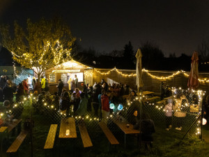 BLOG: Cirkusové noci poprvé rozzářily Olomouc. Podívejte se, jak to vypadalo