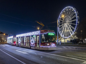 FOTO, VIDEO: V Olomouci se rozzářil vánoční strom Štědřínek