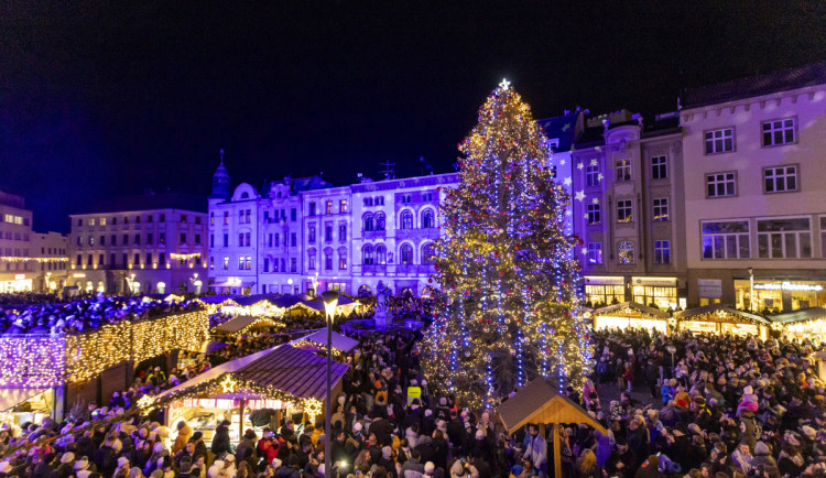 Vánoční strom v Olomouci