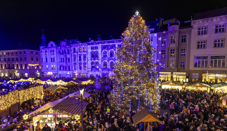 Vánoční strom v Olomouci