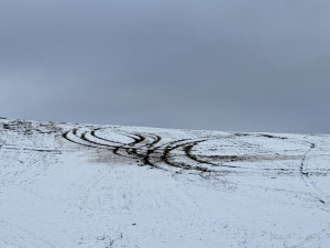 Louku u Repech zřejmě pro zábavu zničil a rozjezdil stříbrný Passat. Věc už řeší policie
