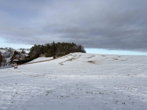 Louku u Repech zřejmě pro zábavu zničil a rozjezdil stříbrný Passat. Věc už řeší policie