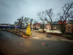 Vánoční strom nazvaný KOKOS na okraji olomouckého parku za pavilonem A Výstaviště Flora