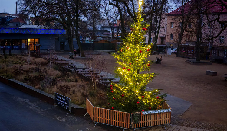 Vánoční strom nazvaný KOKOS na okraji olomouckého parku za pavilonem A Výstaviště Flora