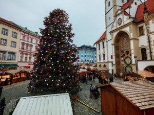 ANKETA: Štědřínek už bez modré. Náhlá proměna vánočního stromu zaujala Olomoučany