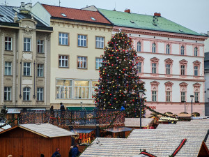 ANKETA: Štědřínek už bez modré. Náhlá proměna vánočního stromu zaujala Olomoučany