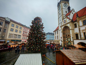 ANKETA: Štědřínek už bez modré. Náhlá proměna vánočního stromu zaujala Olomoučany