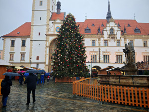 ANKETA: Štědřínek už bez modré. Náhlá proměna vánočního stromu zaujala Olomoučany