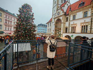 ANKETA: Štědřínek už bez modré. Náhlá proměna vánočního stromu zaujala Olomoučany
