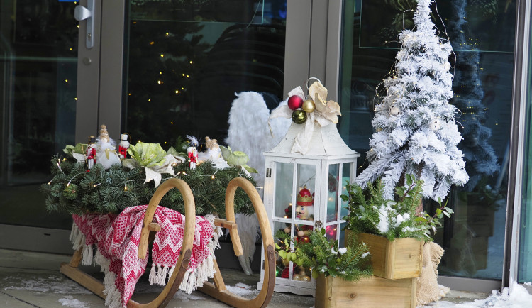 Vánoce v zoo. Na Svatém Kopečku chystají výzdobu i sváteční prohlídky