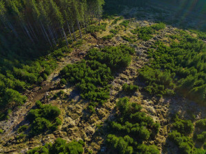 oprava po vyvážení kalamitního dřeva.