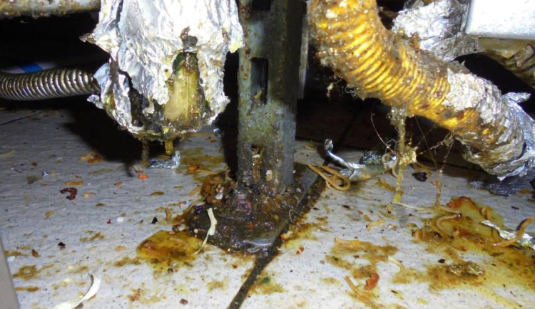 Zašlá mastnota a špína. Inspektoři na den zakázali provoz bistra v Olympii