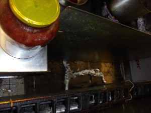 Zašlá mastnota a špína. Inspektoři na den zakázali provoz bistra v Olympii