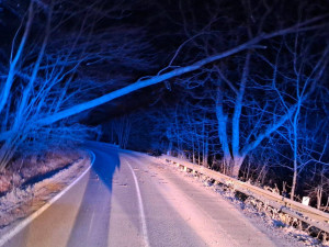 Popadané stromy, uvolněné plechy. Na Přerovsku a Olomoucku řádil na Štědrý den silný vítr