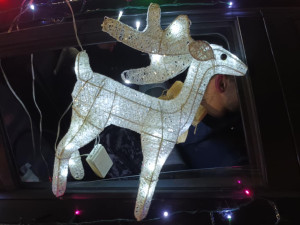 FOTO, VIDEO: Svítící nádhera v ulicích. Stovky lidí v Prostějově sledovaly tradiční Vánoční jízdu