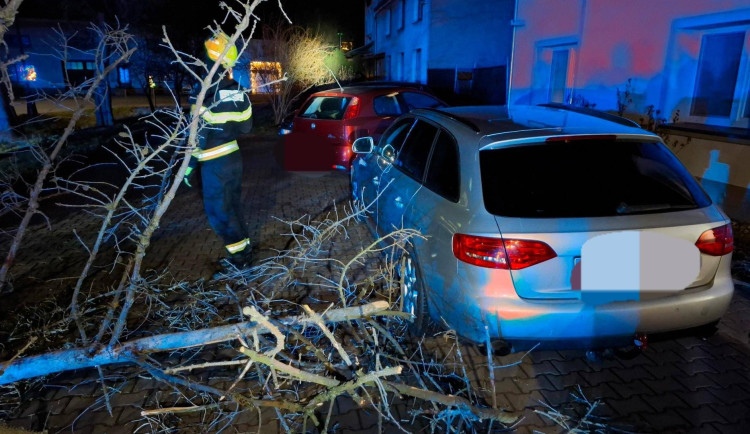 Popadané stromy, uvolněné plechy. Na Přerovsku a Olomoucku řádil na Štědrý den silný vítr