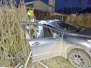 Hasiči o Vánocích bojovali s větrem, požáry, zasahovali u nehod a zachránili psa