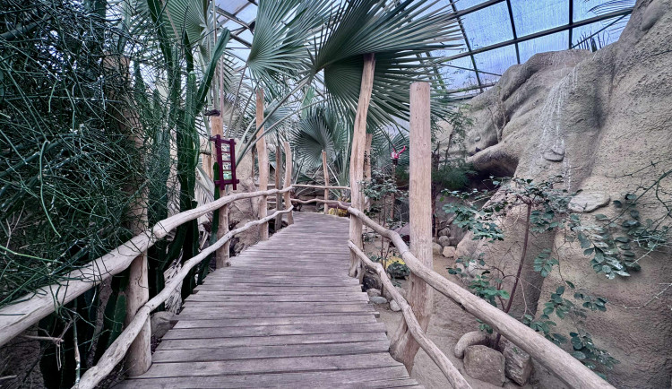 Návštěvnost Safari Parku loni kvůli nevyrovnanému počasí klesla. Přišlo 684 tisíc lidí