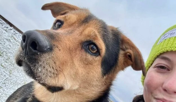 HLEDÁME PÁNÍČKA: