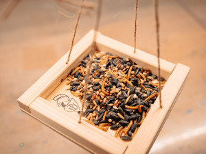 TIP NA VÍKEND: Olomoucká Pevnost poznání zájemce v lednu zavede do ptačí říše