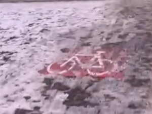 neuklizená cyklostezka