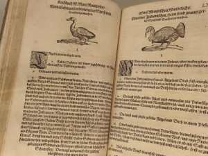 FOTOGALERIE: V Prostějově ke k vidění nejmenší kuchařka na světě, pochází z roku 1906