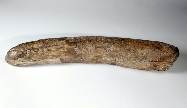 Policejní eskorta nutná. Na výstavu do Turnova dorazila vzácná Předmostská venuše