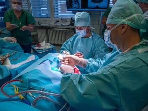 Neurochirurgická operace psychiatrického pacienta ve FN Olomouc