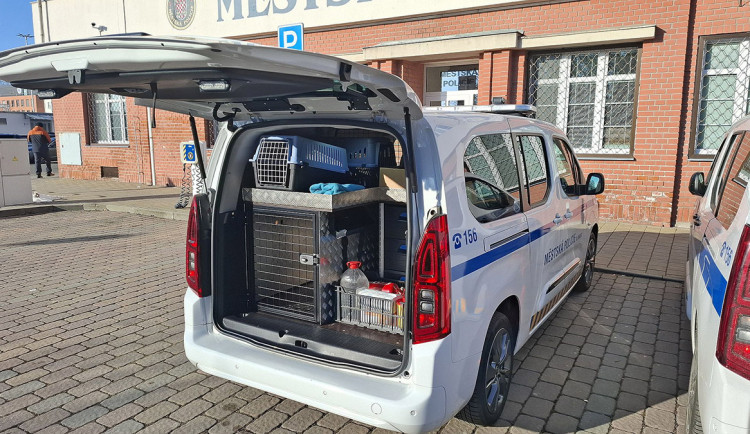 Strážníci v Olomouci řeší odchyty psů, koček i hadů. Na pomoc dostali speciální auto