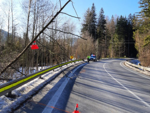Já za to nemůžu. Kamion narazil do vyvráceného stromu, který byl vidět na sto metrů