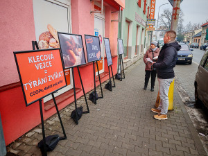 Proti vejcím z otřesných podmínek. Obránci zvířat protestovali před obchodem v Litovli