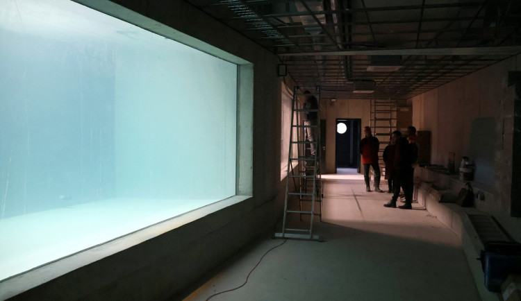 FOTO: V Hodoníně pilně pracují na novém akváriu, to původní poničilo tornádo