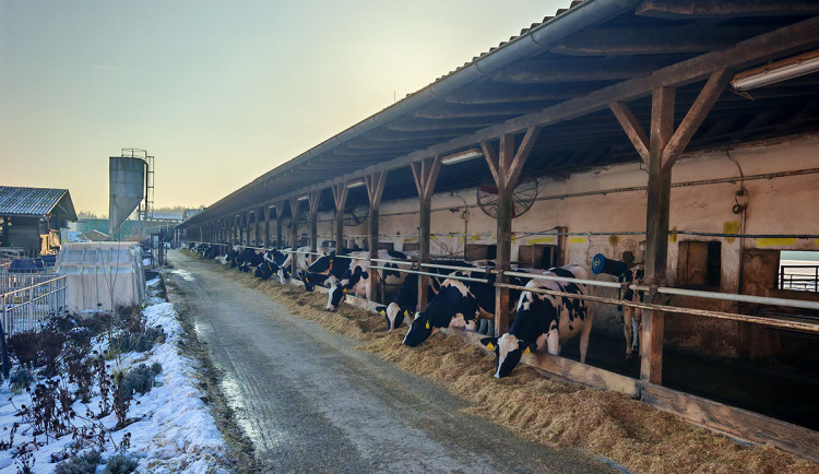 Statek Doubravský dvůr