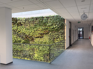 Stylová stavba pro budoucí zdravotníky v Olomouci je hotová. Názory na design se různí