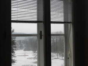 Vzácní netopýři v pasti. Na zámku u Litovle zachránili 57 letounů