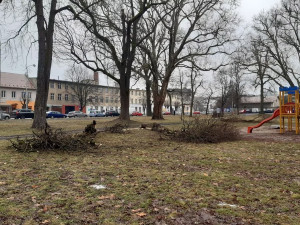 U centra Olomouce se rozběhlo kácení. Začíná roky odkládaná proměna ASO parku