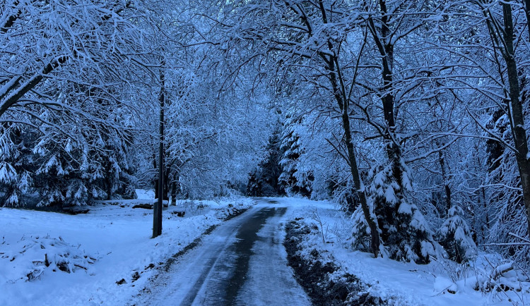 Kolony i převrácený kamion. Husté sněžení komplikuje na jihu Moravy provoz