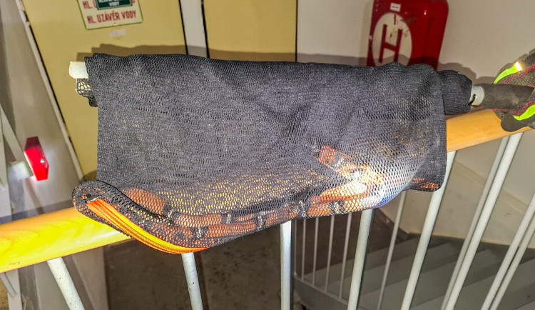 Obyvatele jednoho z domů v Přerově vylekal had. Šlo o neškodnou korálovku, uklidňovali hasiči