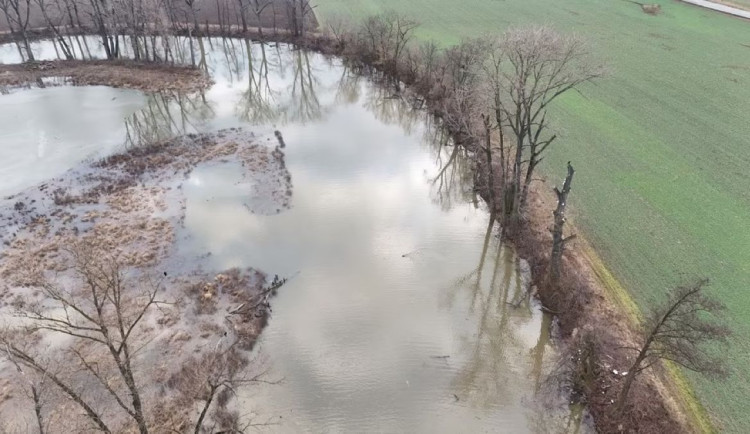 Mrtvé rameno Moravy ožilo, naplnila ho voda z tajícího sněhu. Olomouc chrání před povodněmi