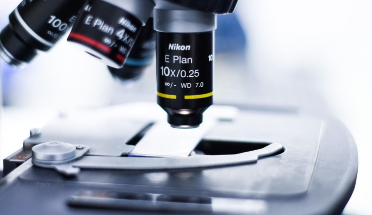 Exportéři zastavení vývozu na Blízký východ kvůli konfliktu v Íránu nečekají